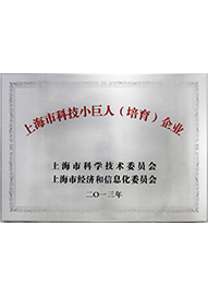 上?？萍夹【奕伺嘤髽I